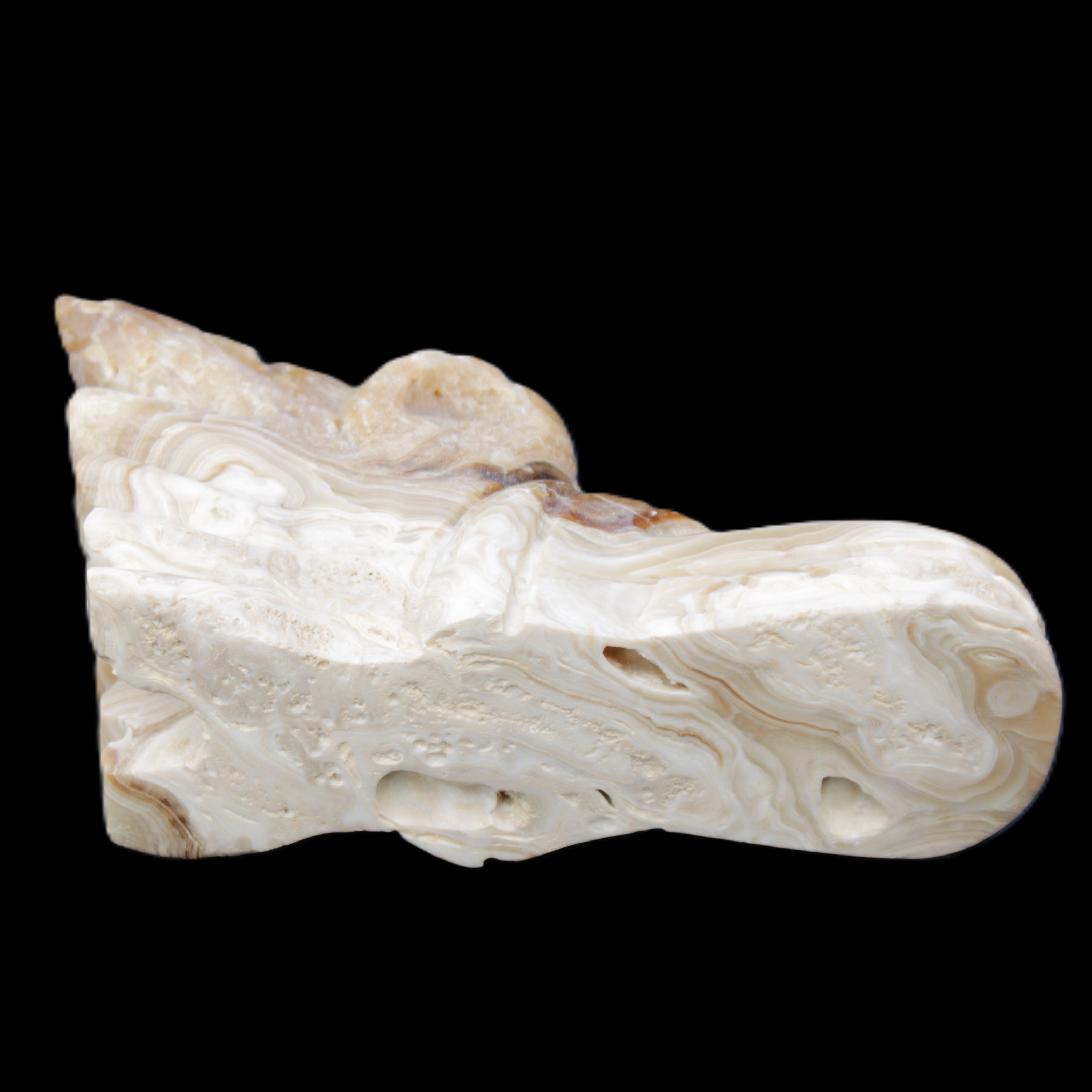 Chocolate Calcite dragon head 40*72*118mm 461g in sunlight - Rocks and Things Store