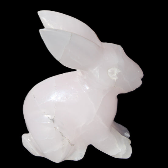 Mangano Calcite bunny 76*36*100mm 396g in sunlight - Rocks and Things Store