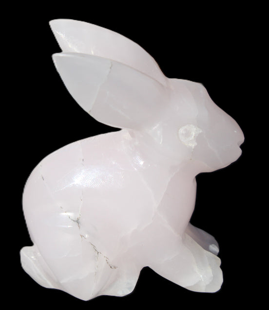 Mangano Calcite bunny 76*36*100mm 396g in sunlight - Rocks and Things Store
