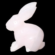 Mangano Calcite bunny 76*36*100mm 396g in sunlight - Rocks and Things Store