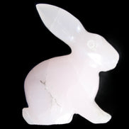 Mangano Calcite bunny 76*36*100mm 396g in sunlight - Rocks and Things Store