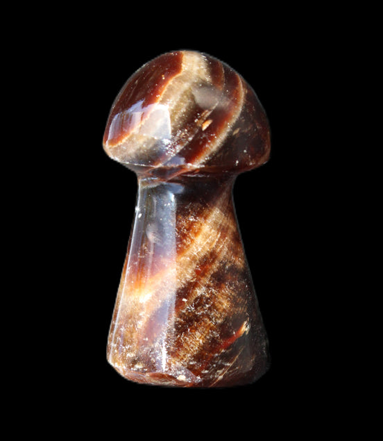 Chocolate Calcite Mushroom 32-35mm 14-18g in sunlight - Rocks and Things Store