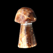 Chocolate Calcite mushroom 32-35mm 11-15g in sunlight - Rocks and Things Store