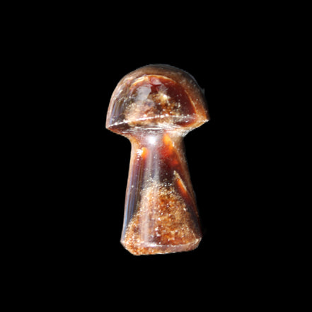 Chocolate Calcite mushroom 32-35mm 11-15g in sunlight - Rocks and Things Store