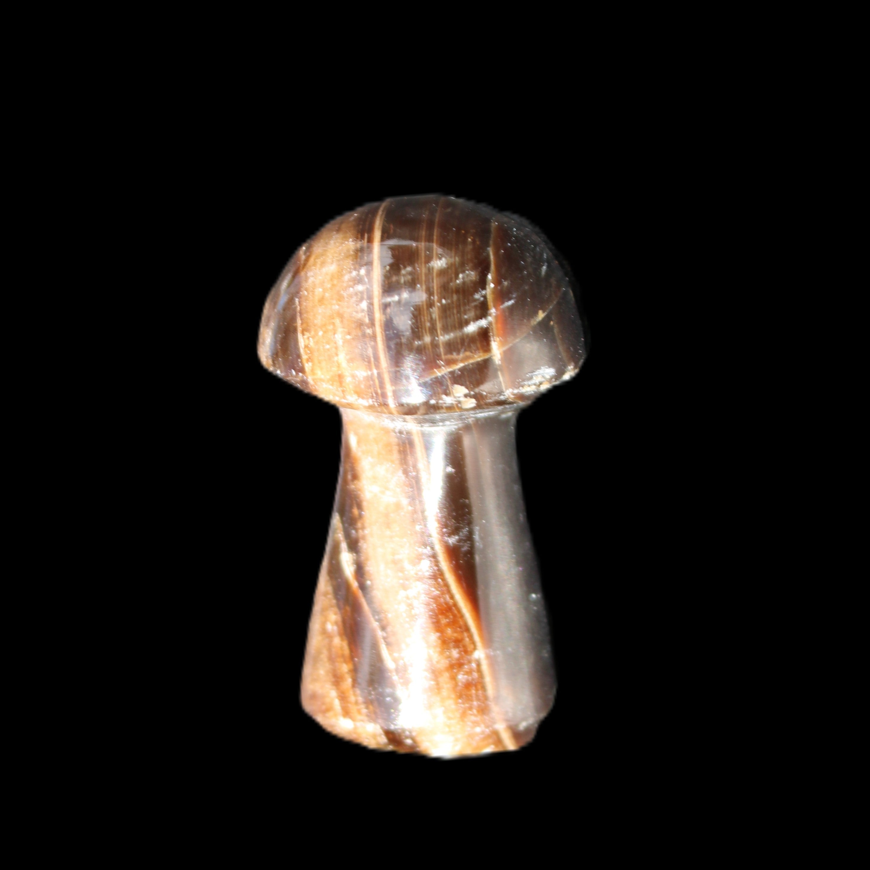 Chocolate Calcite mushroom 32-35mm 11-15g in sunlight - Rocks and Things Store