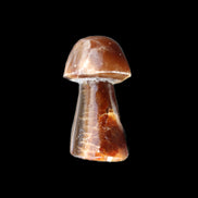 Chocolate Calcite mushroom 32-35mm 11-15g in sunlight - Rocks and Things Store