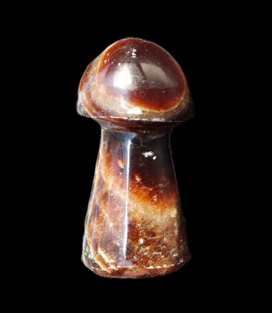 Chocolate Calcite Mushroom 32-35mm 14-18g in sunlight - Rocks and Things Store