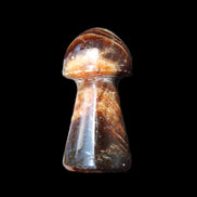 Chocolate Calcite Mushroom 32-35mm 14-18g in sunlight - Rocks and Things Store