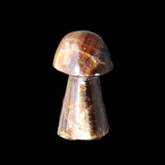 Chocolate Calcite mushroom 32-35mm 11-15g in sunlight - Rocks and Things Store