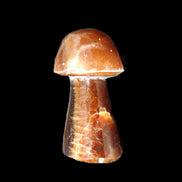 Chocolate Calcite mushroom 32-35mm 11-15g in sunlight - Rocks and Things Store