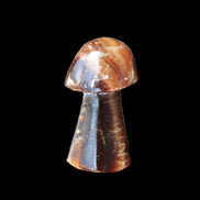 Chocolate Calcite Mushroom 32-35mm 14-18g in sunlight - Rocks and Things Store