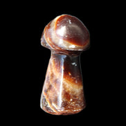 Chocolate Calcite Mushroom 32-35mm 14-18g in sunlight - Rocks and Things Store