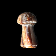Chocolate Calcite mushroom 32-35mm 11-15g in sunlight - Rocks and Things Store