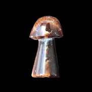 Chocolate Calcite Mushroom 32-35mm 14-18g in sunlight - Rocks and Things Store