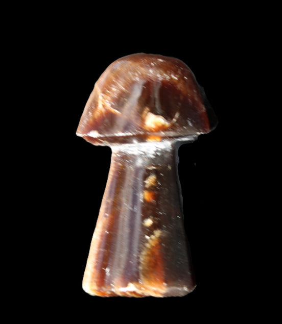 Chocolate Calcite mushroom 32-35mm 11-15g in sunlight - Rocks and Things Store