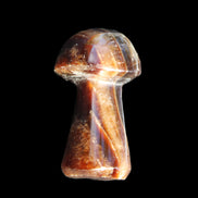 Chocolate Calcite Mushroom 32-35mm 14-18g in sunlight - Rocks and Things Store