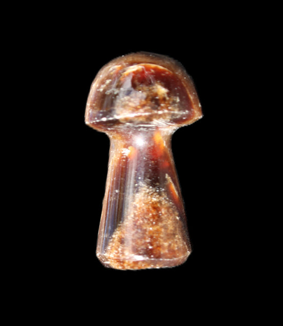 Chocolate Calcite mushroom 32-35mm 11-15g in sunlight - Rocks and Things Store