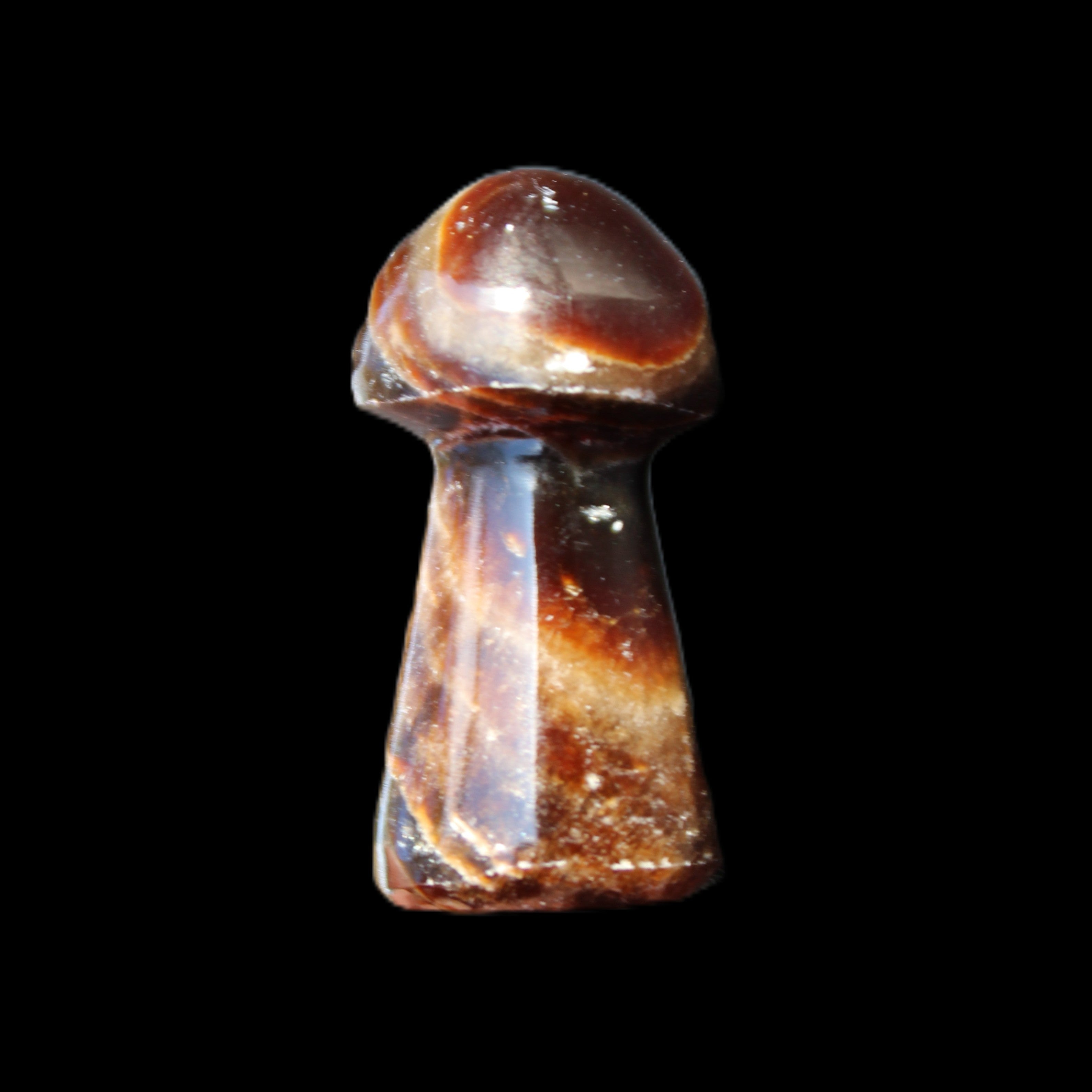 Chocolate Calcite Mushroom 32-35mm 14-18g in sunlight - Rocks and Things Store