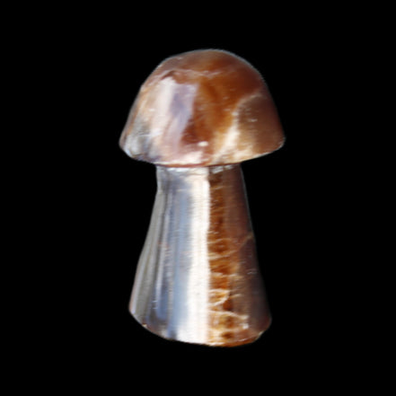 Chocolate Calcite mushroom 32-35mm 11-15g in sunlight - Rocks and Things Store