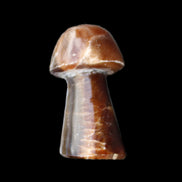 Chocolate Calcite mushroom 32-35mm 11-15g in sunlight - Rocks and Things Store
