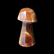 Chocolate Calcite Mushroom 32-35mm 14-18g in sunlight - Rocks and Things Store