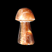 Chocolate Calcite mushroom 32-35mm 11-15g in sunlight - Rocks and Things Store