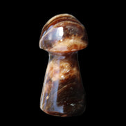 Chocolate Calcite Mushroom 32-35mm 14-18g in sunlight - Rocks and Things Store