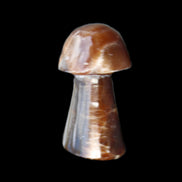 Chocolate Calcite mushroom 32-35mm 11-15g in sunlight - Rocks and Things Store