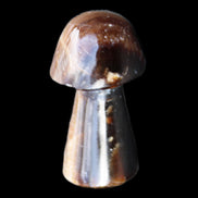 Chocolate Calcite mushroom 32-35mm 11-15g in sunlight - Rocks and Things Store