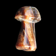 Chocolate Calcite Mushroom 32-35mm 14-18g in sunlight - Rocks and Things Store