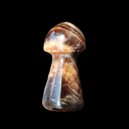 Chocolate Calcite Mushroom 32-35mm 14-18g in sunlight - Rocks and Things Store