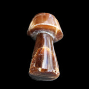 Chocolate Calcite mushroom 32-35mm 11-15g in sunlight - Rocks and Things Store