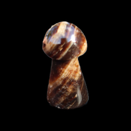 Chocolate Calcite Mushroom 32-35mm 14-18g in sunlight - Rocks and Things Store