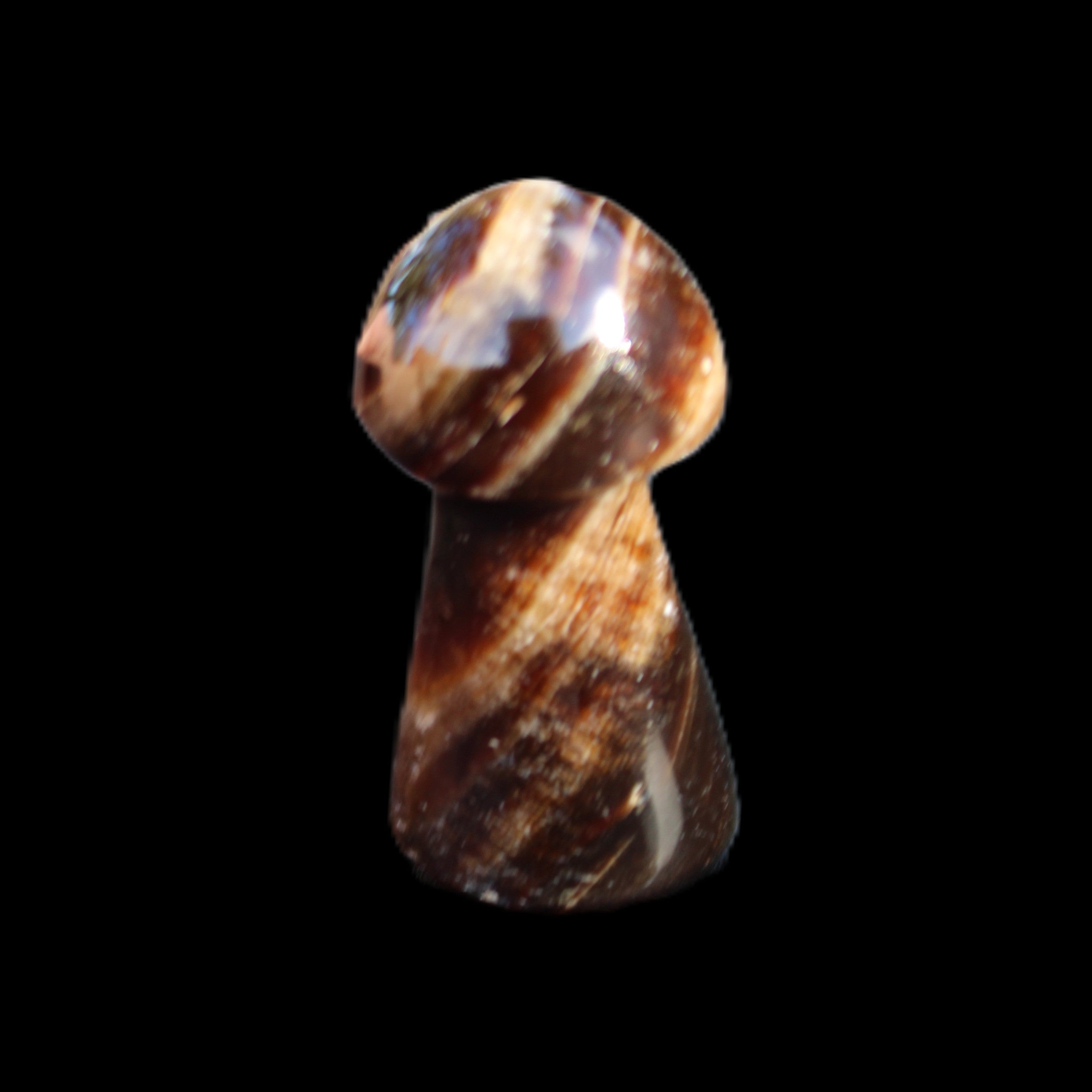 Chocolate Calcite Mushroom 32-35mm 14-18g in sunlight - Rocks and Things Store