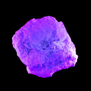 Magnificent Green Tourmaline, Kunzite, Lepidolite plus more specimen 140m 2035g in UV light - Rocks and Things Store