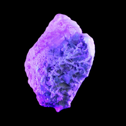 Magnificent Green Tourmaline, Kunzite, Lepidolite plus more specimen 140m 2035g in sunlight - Rocks and Things Store