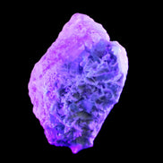 Magnificent Green Tourmaline, Kunzite, Lepidolite plus more specimen 140m 2035g in UV light - Rocks and Things Store