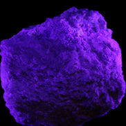 Magnificent Green Tourmaline, Kunzite, Lepidolite plus more specimen 140m 2035g in UV light - Rocks and Things Store