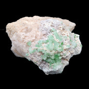 Magnificent Green Tourmaline, Kunzite, Lepidolite plus more specimen 140m 2035g in sunlight - Rocks and Things Store