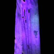 Caribbean Calcite aqua blue obelisk 170mm 539g Rocks and Things Store