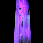 Caribbean Calcite aqua blue obelisk 170mm 539g in UV light - Rocks and Things Store