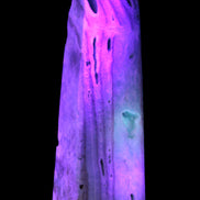 Caribbean Calcite aqua blue obelisk 170mm 539g in UV light - Rocks and Things Store