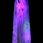 Caribbean Calcite aqua blue obelisk 170mm 539g in UV light - Rocks and Things Store