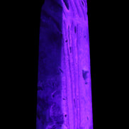 Caribbean aqua blue Calcite obelisk 539g in UV light - Rocks and Things Store