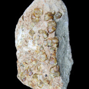 Peridot on matrix 37*34*27mm 48g in sunlight - Rocks and Things Store