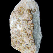 Peridot on matrix 37*34*27mm 48g in sunlight - Rocks and Things Store