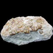 Peridot on matrix 37*34*27mm 48g in sunlight - Rocks and Things Store