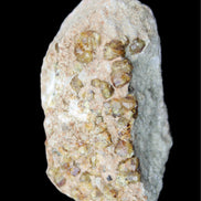 Peridot on matrix 37*34*27mm 48g in sunlight - Rocks and Things Store