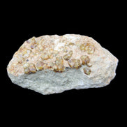 Peridot on matrix 37*34*27mm 48g in sunlight - Rocks and Things Store