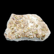 Peridot on matrix 37*34*27mm 48g in sunlight - Rocks and Things Store